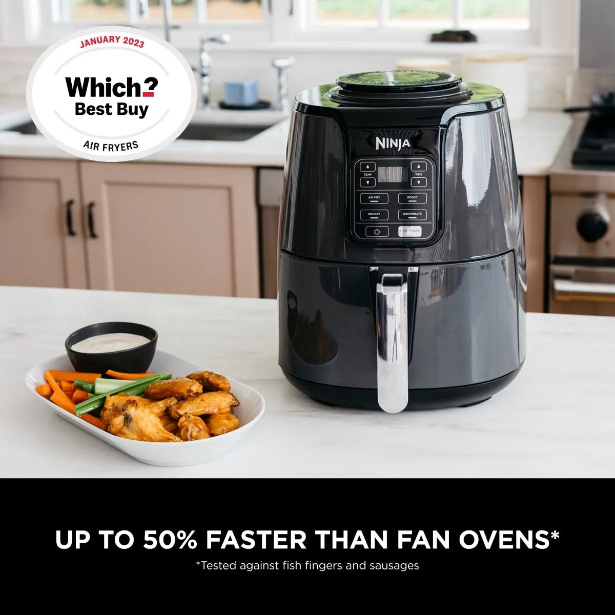 Ninja Air Fryer 3.8L AF100